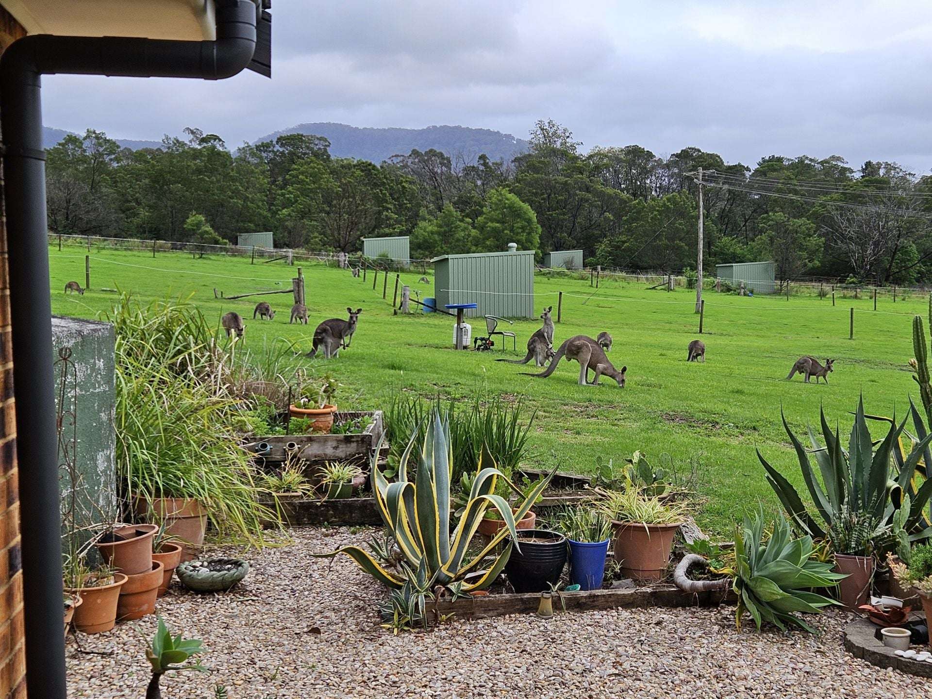 60 Mount Scanzi Road, Kangaroo Valley For Sale by Farmbuy.com - image 8