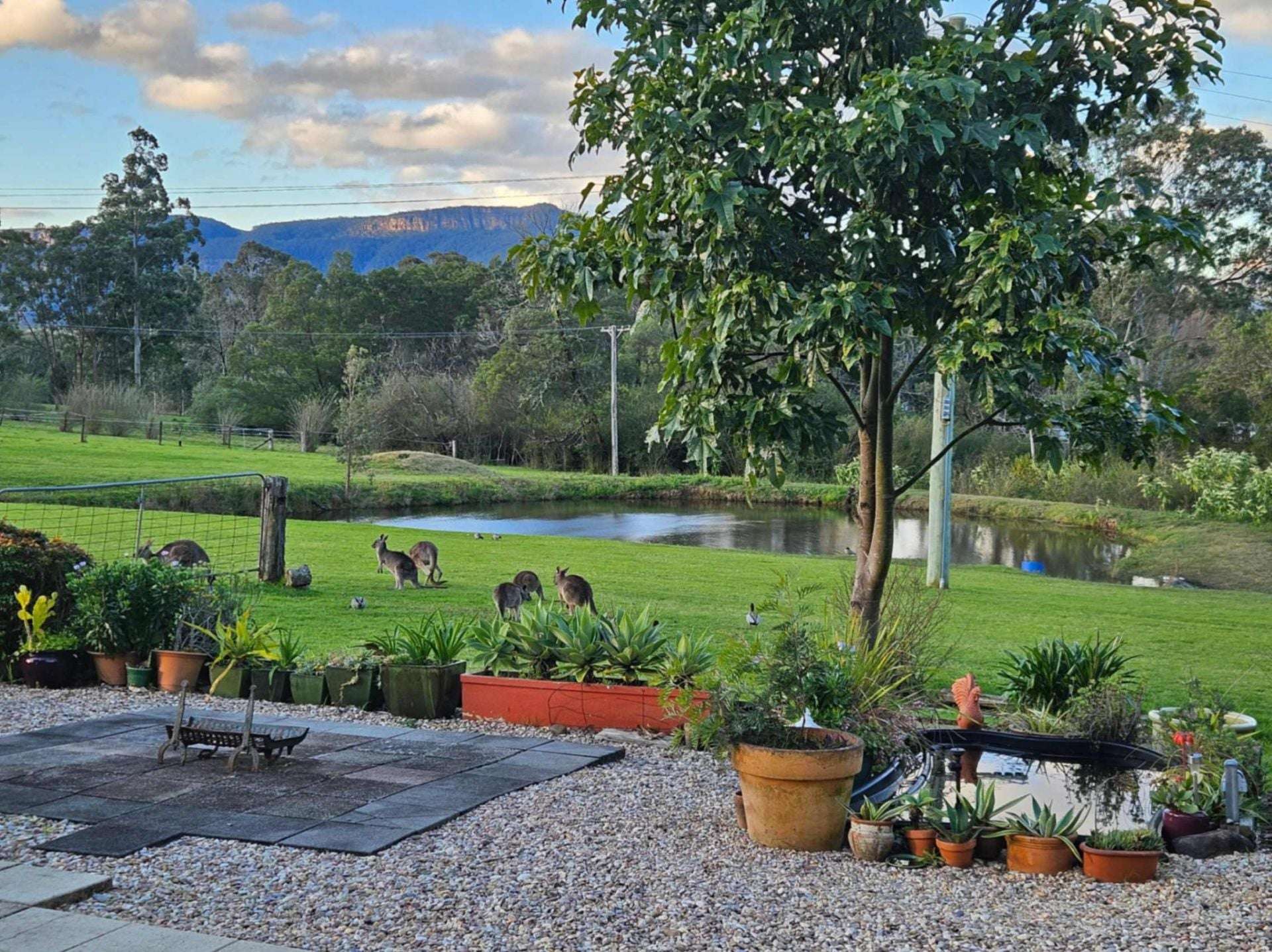 60 Mount Scanzi Road, Kangaroo Valley For Sale by Farmbuy.com - image 7