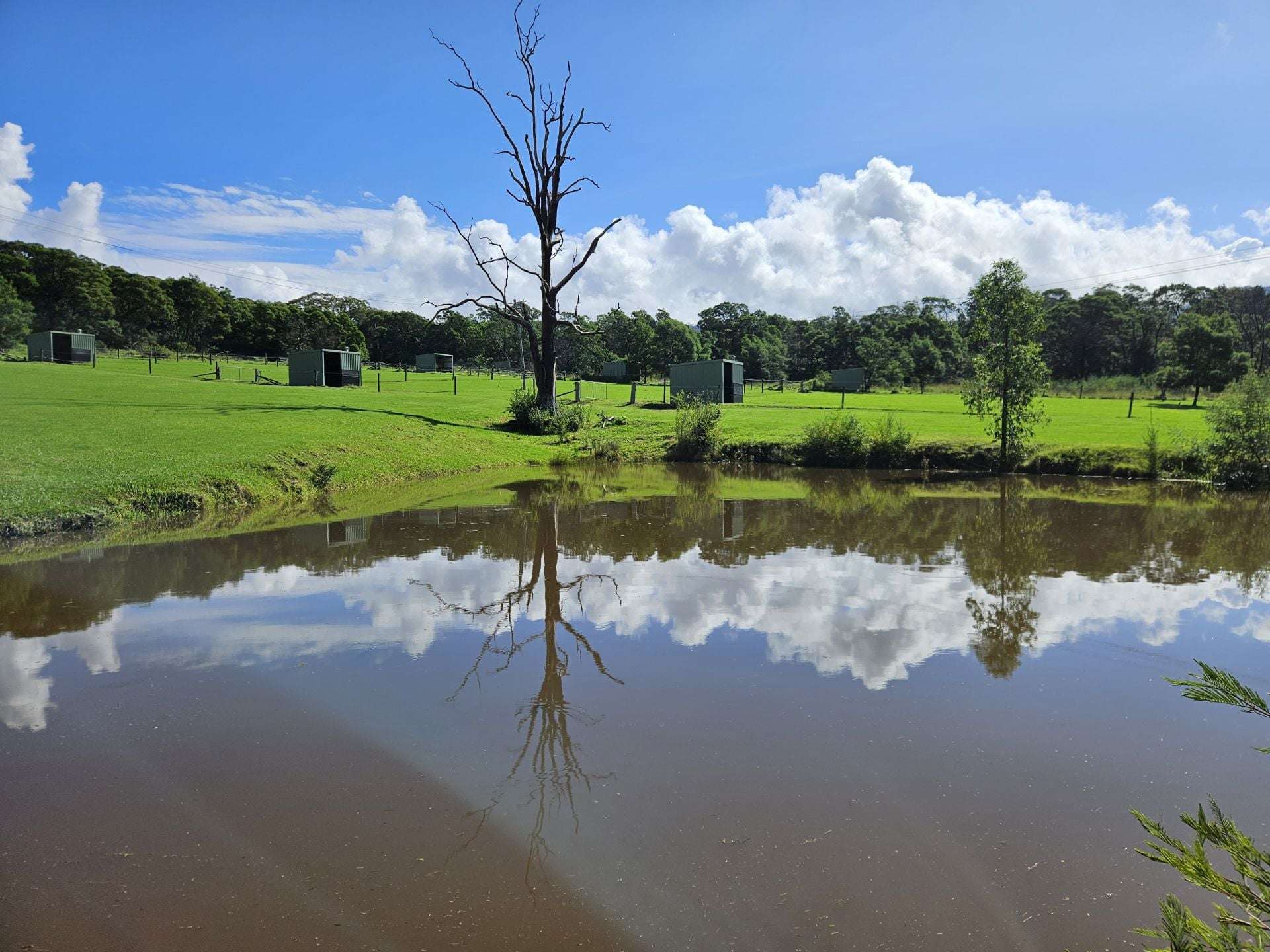 60 Mount Scanzi Road, Kangaroo Valley For Sale by Farmbuy.com - image 25