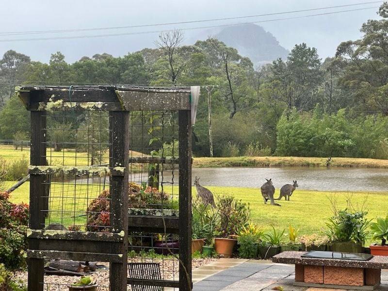 60 Mount Scanzi Road, Kangaroo Valley For Sale by Farmbuy.com - image 30