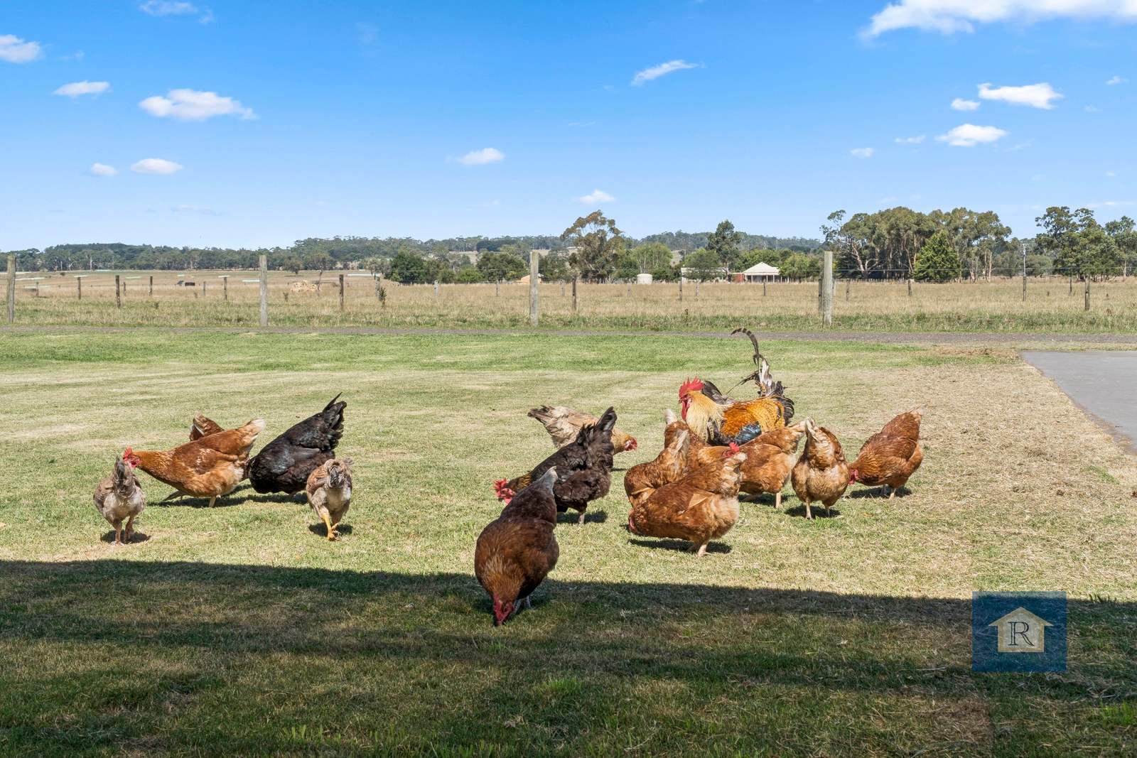 180 Irrewillipe-Pirron Yallock Road, Irrewillipe For Sale by Farmbuy.com - image 21