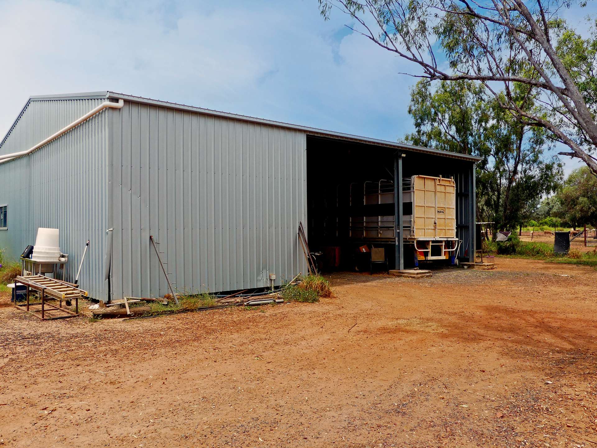 "Wavering Downs" 1467 Pasha Rd, Pasha For Sale by Farmbuy.com - image 18