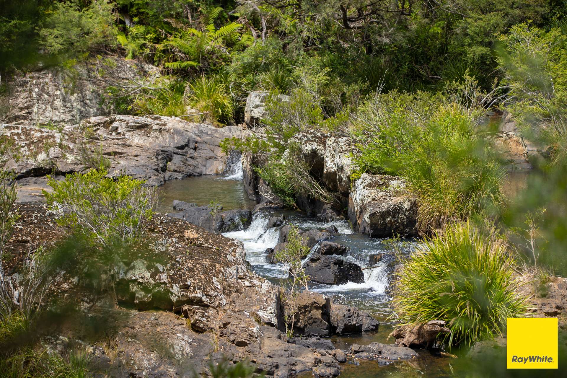 262 Snows Road, Dorrigo Sold by Farmbuy.com - image 26