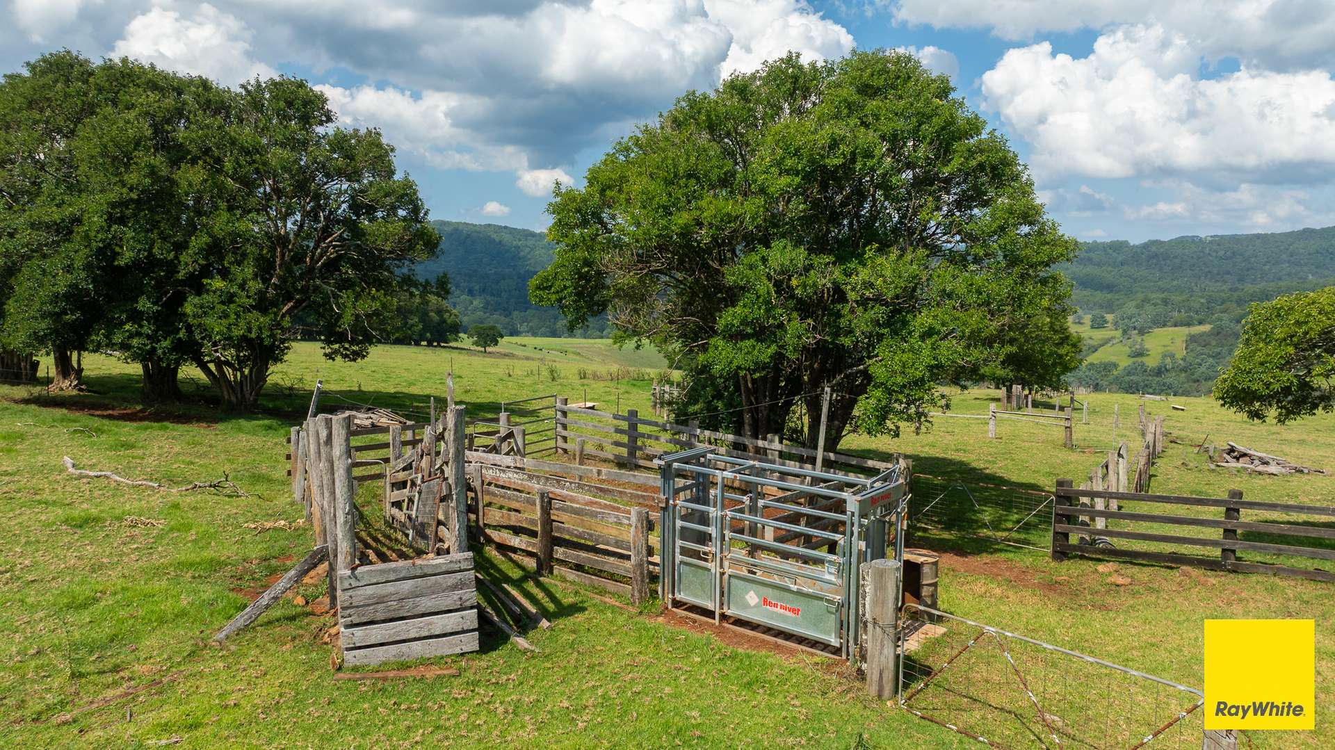 262 Snows Road, Dorrigo Sold by Farmbuy.com - image 13