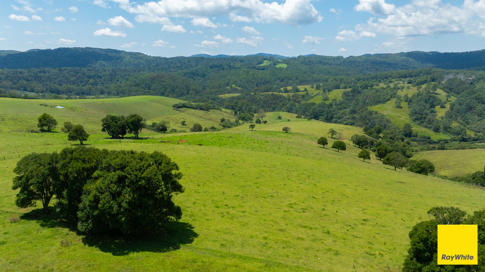 262 Snows Road, Dorrigo Sold by Farmbuy.com - image 5