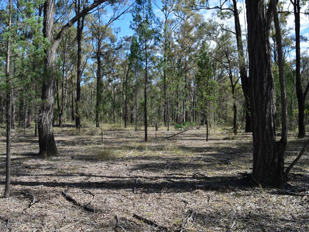 Lot 17 Tin Hut Road, Inglewood QLD 4387