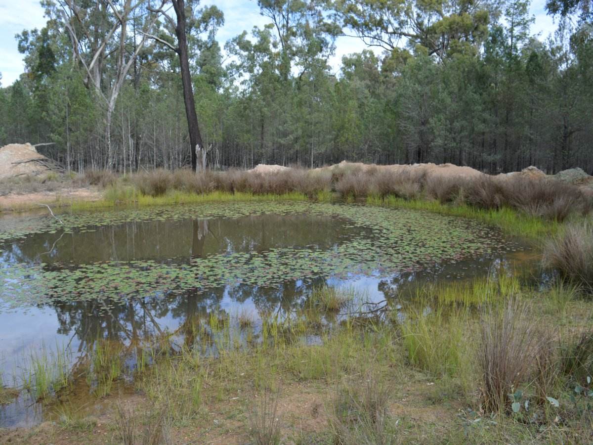 Lot 17 Tin Hut Road, Inglewood For Sale by Farmbuy.com - image 5