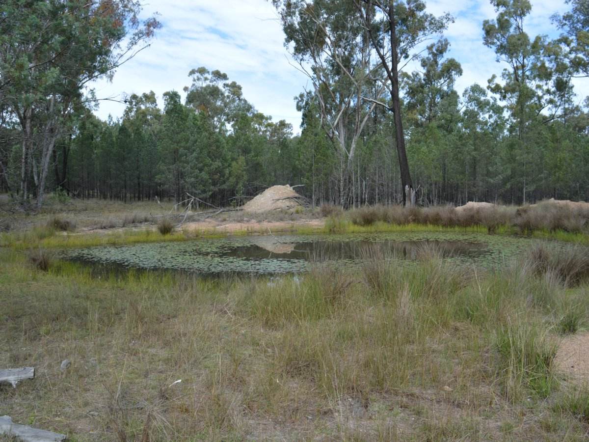 Lot 17 Tin Hut Road, Inglewood For Sale by Farmbuy.com - image 2