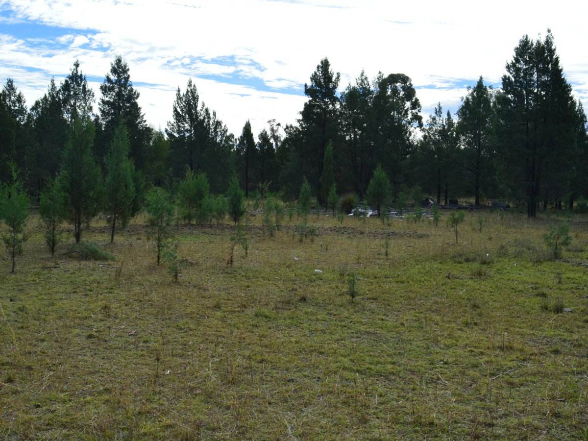 Lot 17 Tin Hut Road, Inglewood For Sale by Farmbuy.com - image 3
