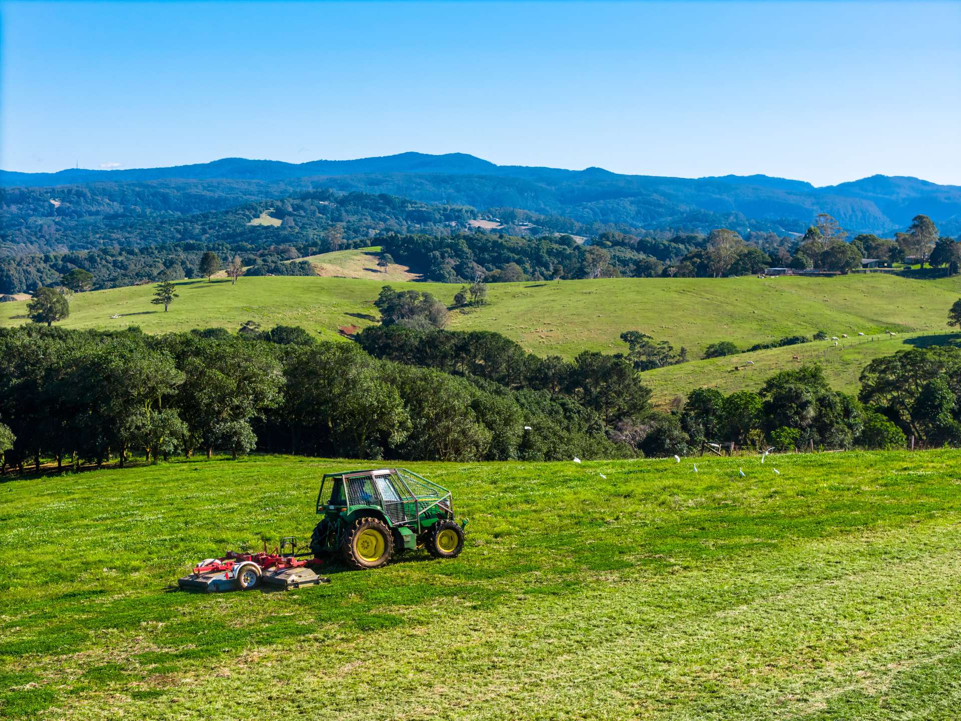 34 Bencluna Lane, Eureka For Sale by Farmbuy.com - image 8