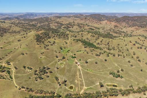Farm Sold - NSW - Mudgee - 2850 - 'Ferndale' – 452ha Rural Holding Just 15 Minutes from Mudgee 