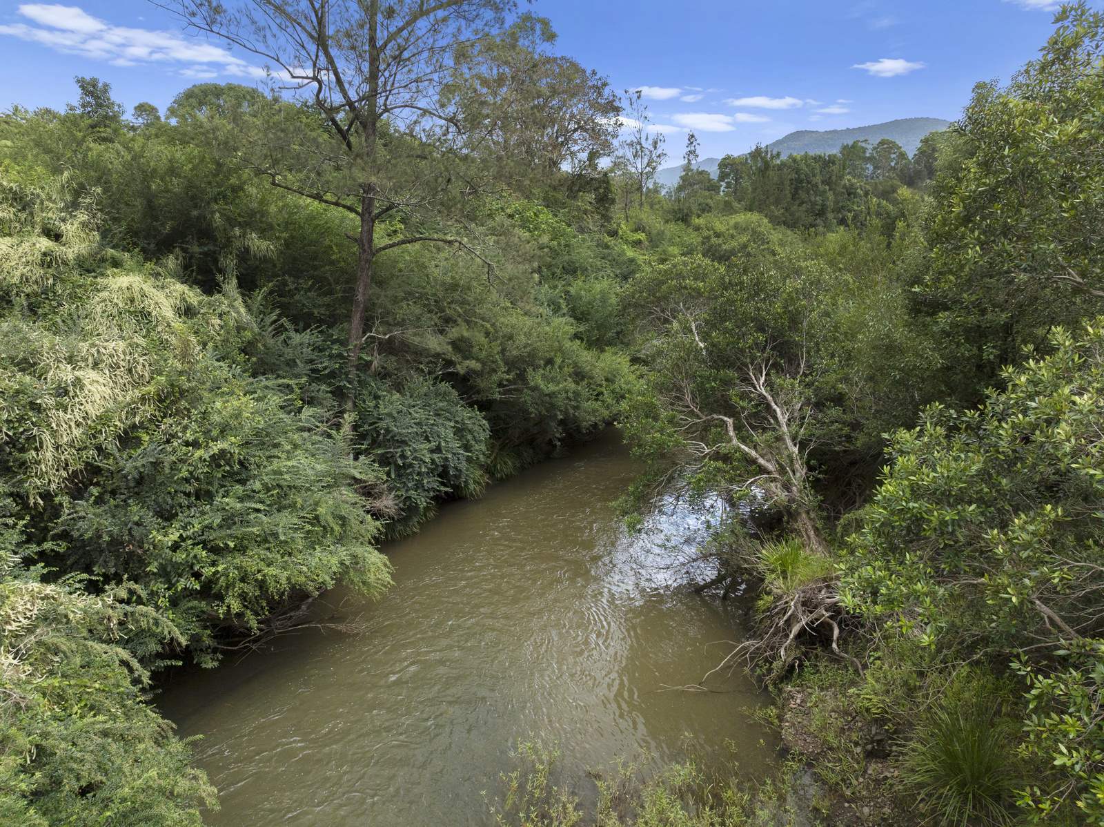 111 Brays Creek Road, Tyalgum For Sale by Farmbuy.com - image 20