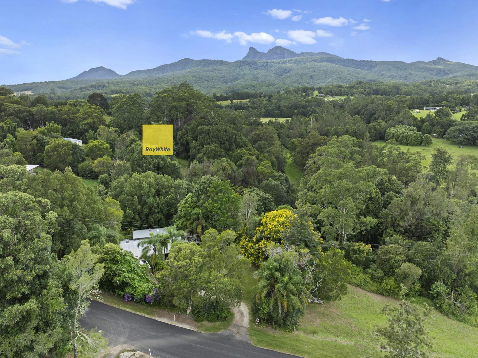 111 Brays Creek Road, Tyalgum Sold by Farmbuy.com - image 4