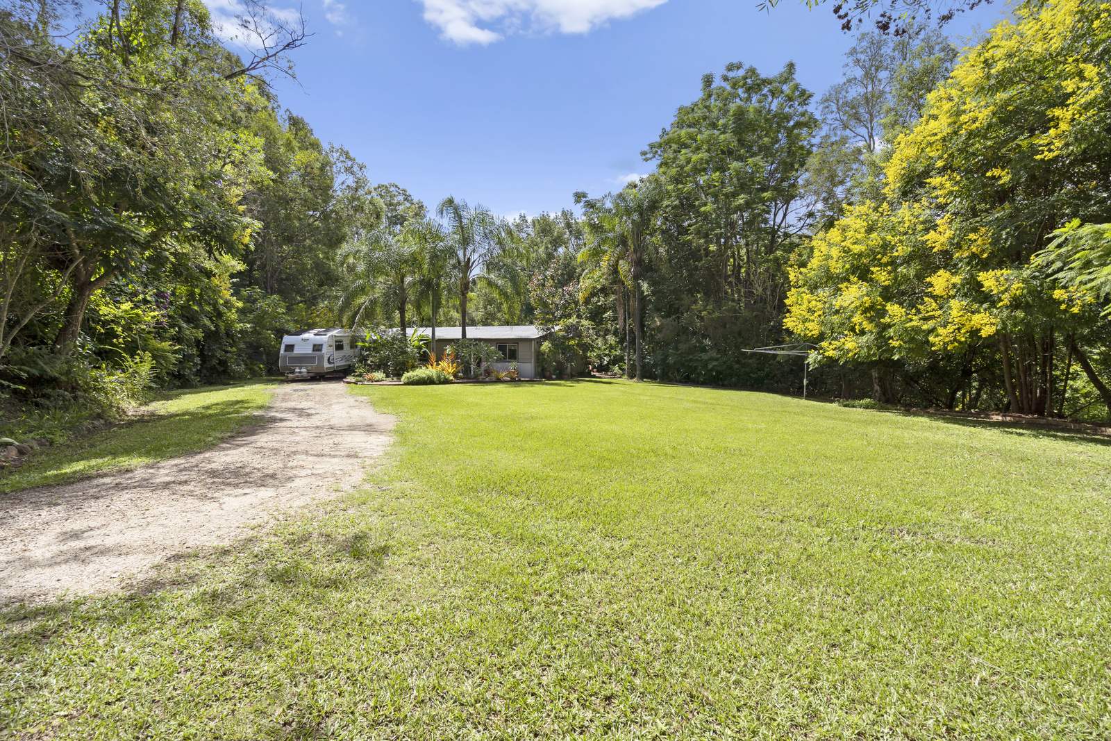 111 Brays Creek Road, Tyalgum Sold by Farmbuy.com - image 2