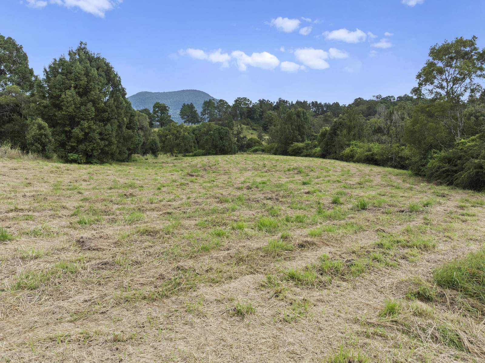111 Brays Creek Road, Tyalgum Sold by Farmbuy.com - image 18