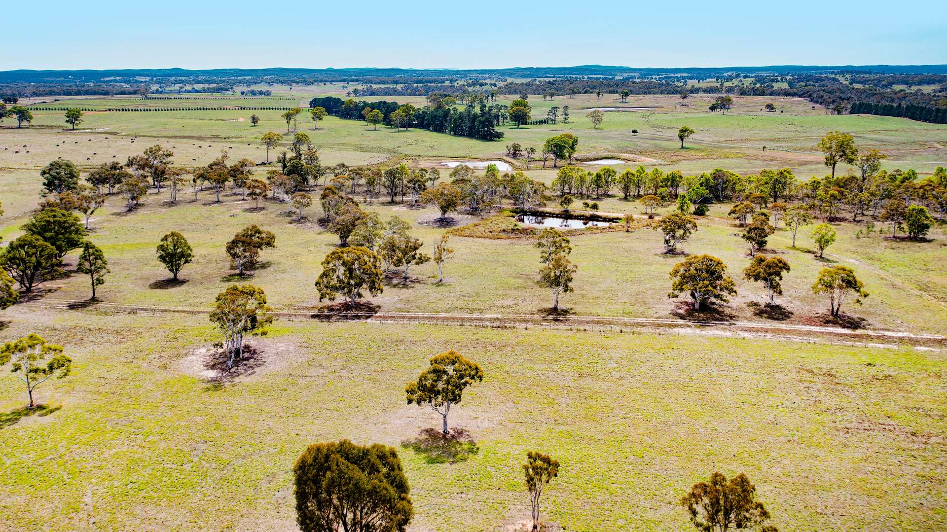 179 Masons And Owens Road, Windellama For Sale by Farmbuy.com - image 29