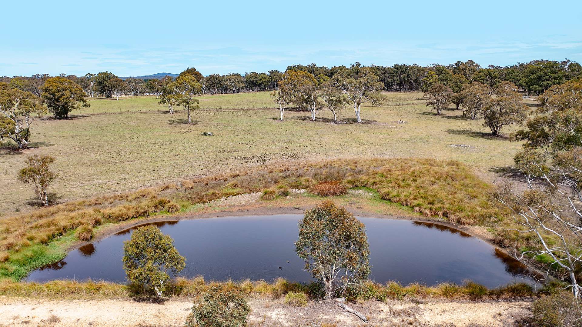 179 Masons And Owens Road, Windellama For Sale by Farmbuy.com - image 27