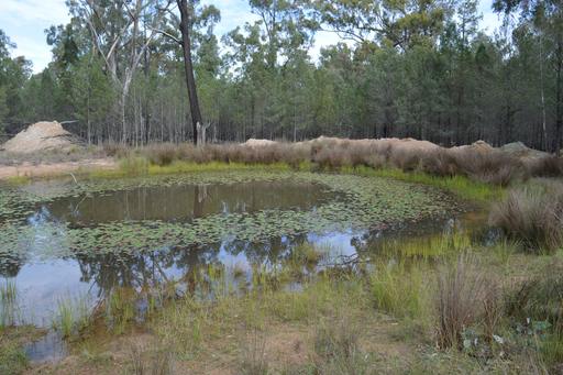 Lot 17 Tin Hut Road, Inglewood QLD 4387