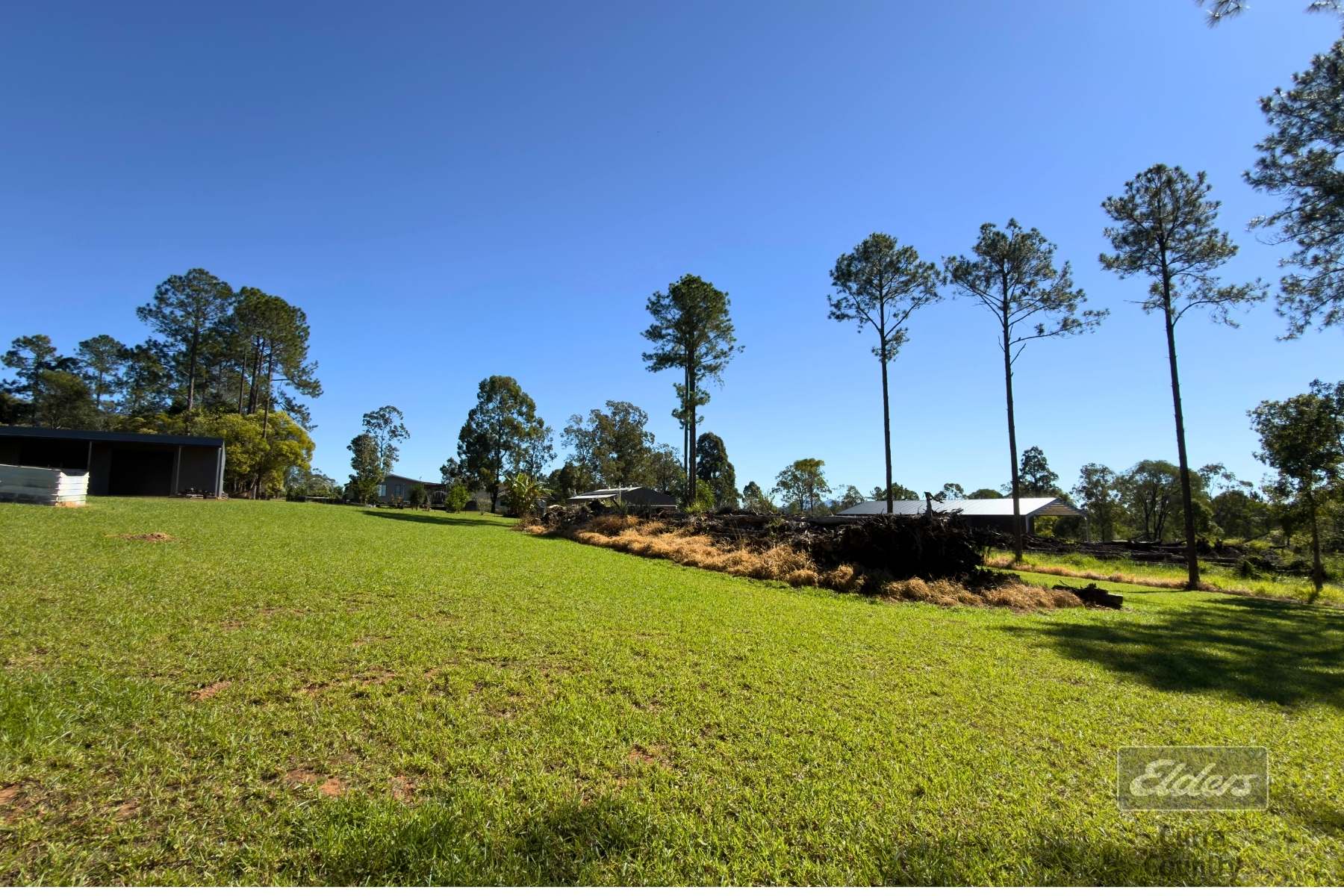 Lot 359 Arborfive Road, Glenwood For Sale by Farmbuy.com - image 8