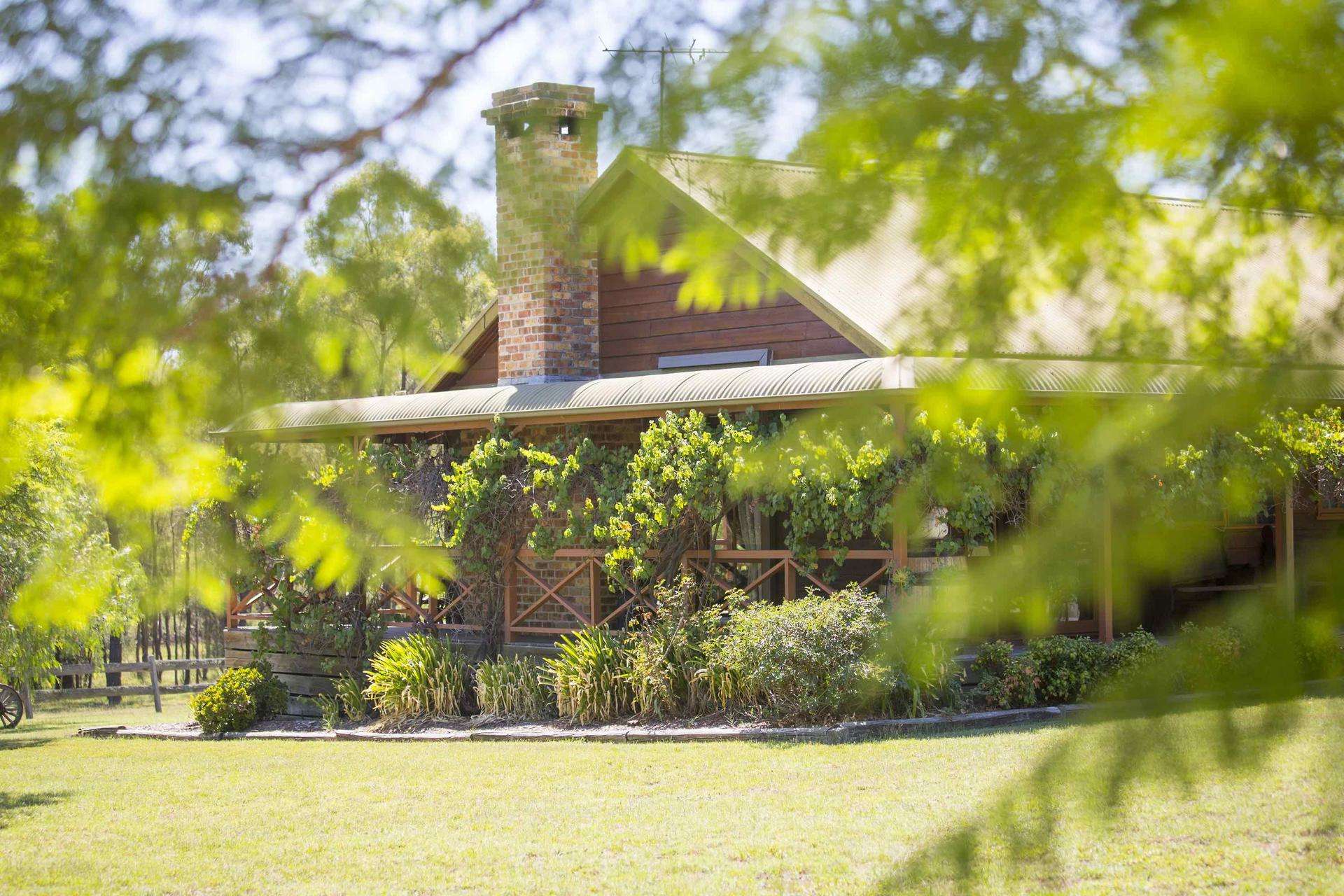 633 Hermitage Road, Pokolbin For Sale by Farmbuy.com - image 19