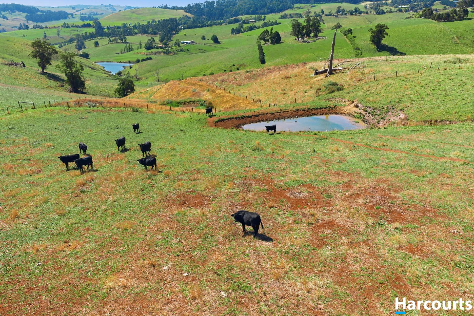 8 Stubbers Lane, Mirboo North For Sale by Farmbuy.com - image 24