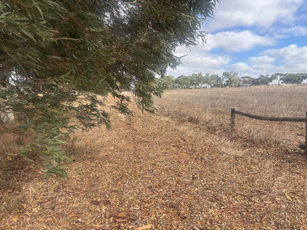 Lot 9678 Geraldton Mount Magnet Road, Wicherina WA 6532