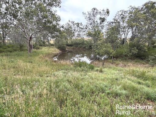 Farm For Sale - QLD - Kunioon - 4615 - Lot 264 Kunioon Rd - 160 Acres 