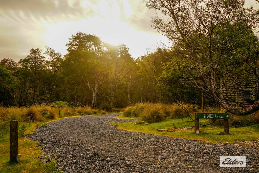1519 Loongana Road, Loongana TAS 7315