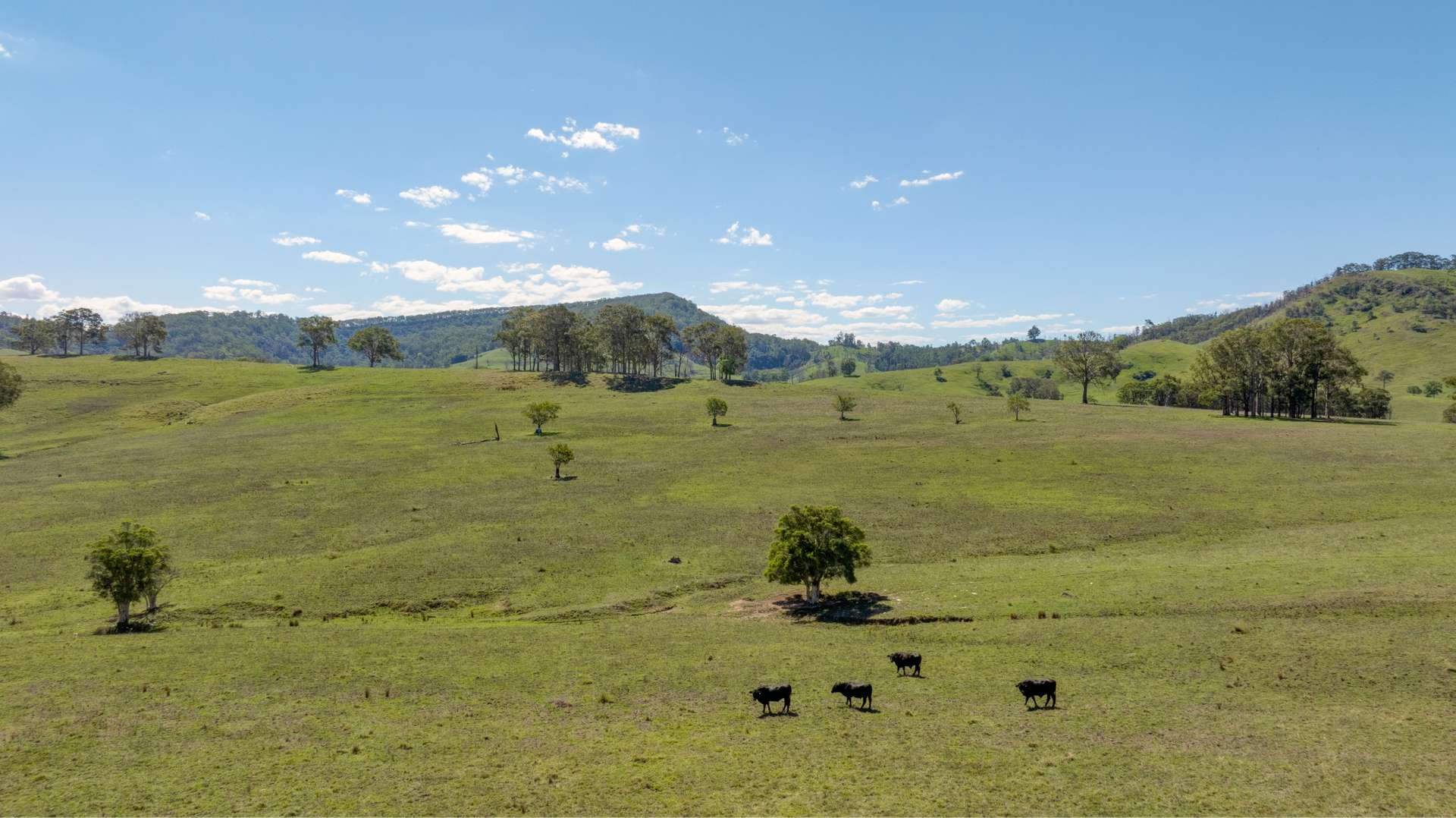 1993 Glendonbrook Road, Gresford Sold by Farmbuy.com - image 12