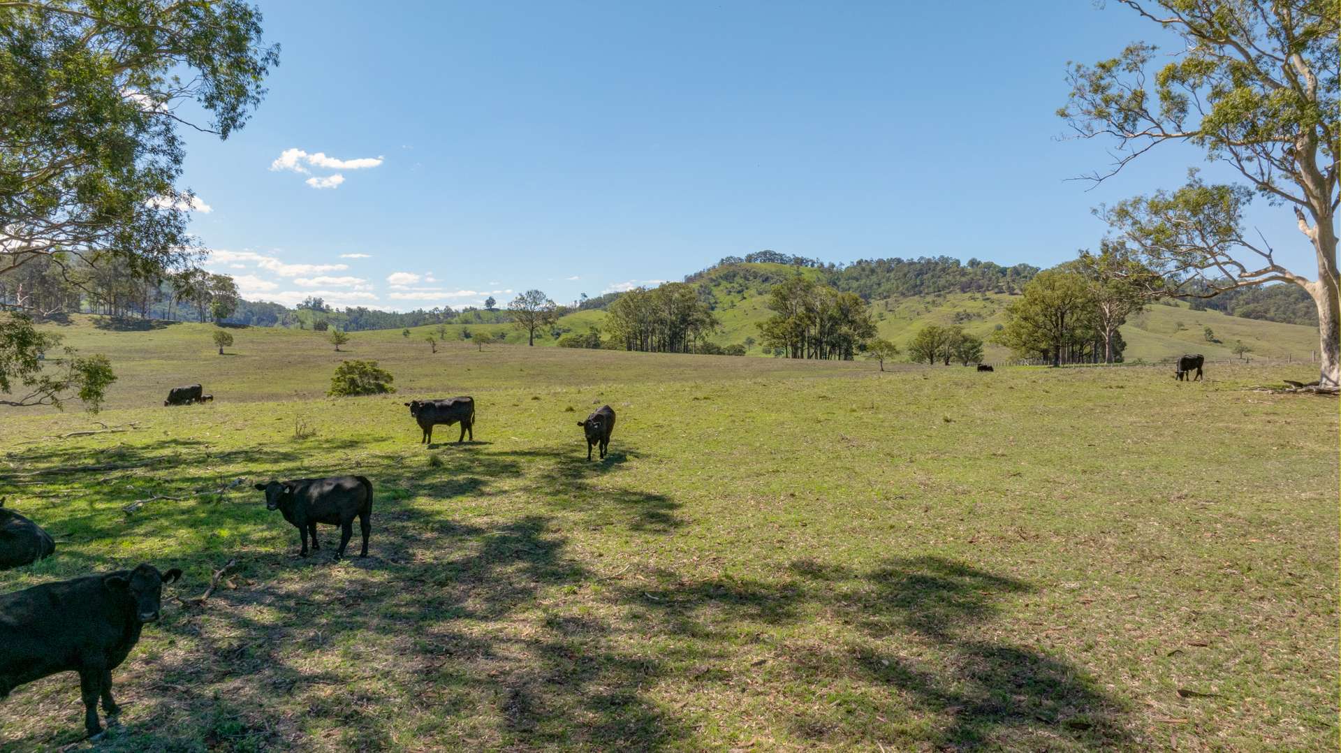 1993 Glendonbrook Road, Gresford Sold by Farmbuy.com - image 13