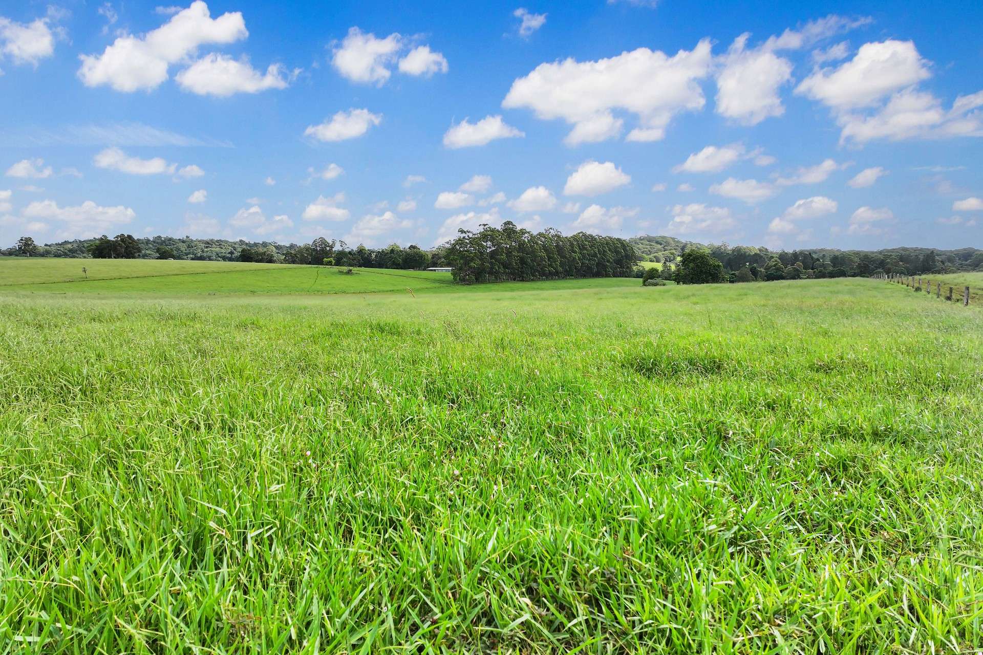 Lot 2 Lake Barrine Road, Lake Eacham For Sale by Farmbuy.com - image 15