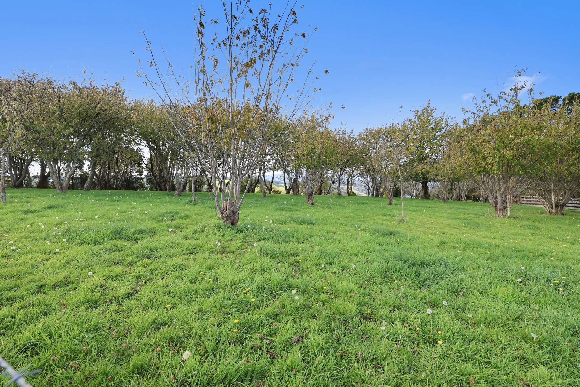 140 McKenzie Road, Neerim East For Sale by Farmbuy.com - image 18