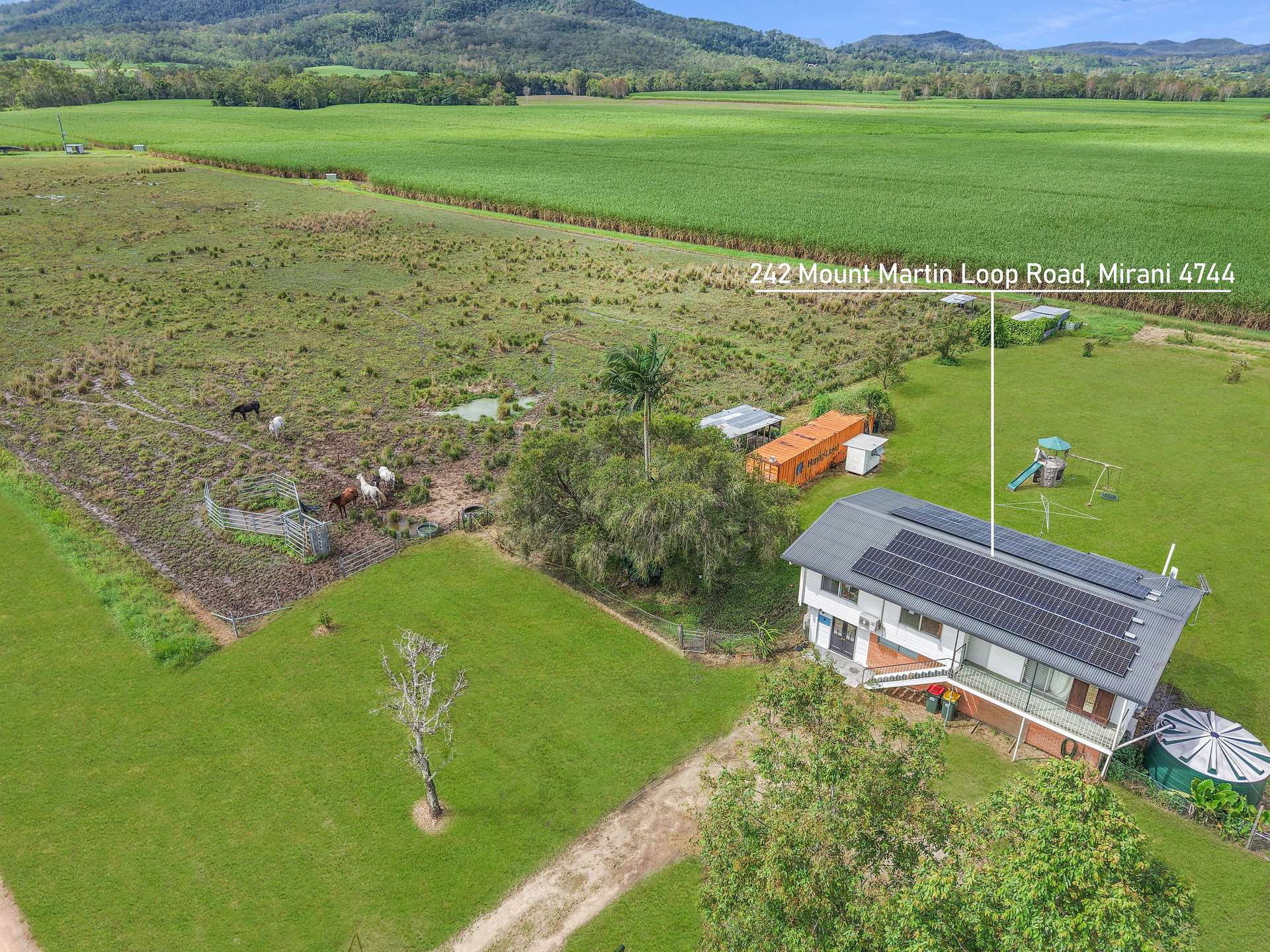 242 Mount Martin Loop Road, Mirani Sold by Farmbuy.com - image 2