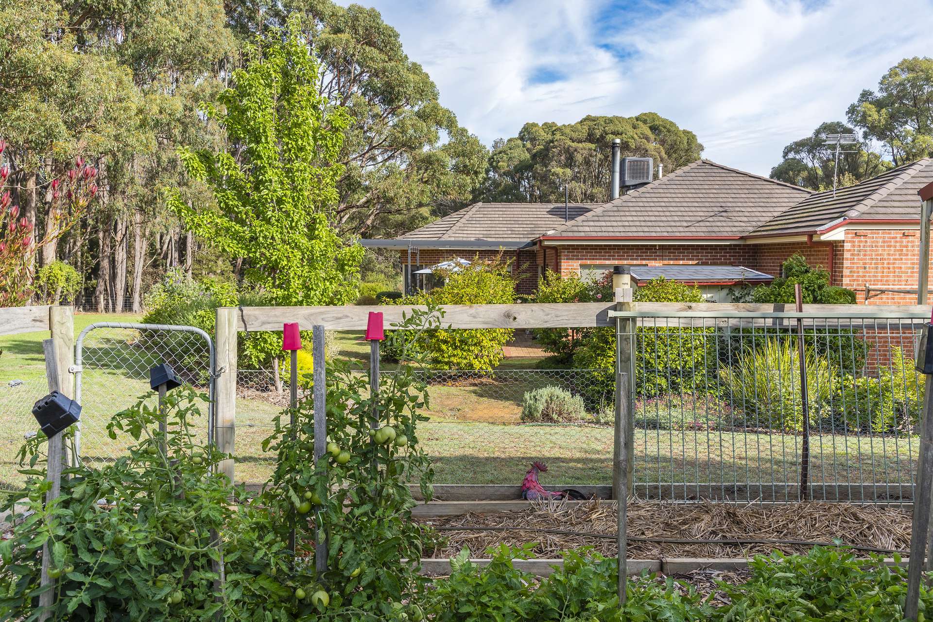 225 Burke And Wills Track, Lancefield Sold by Farmbuy.com - image 9