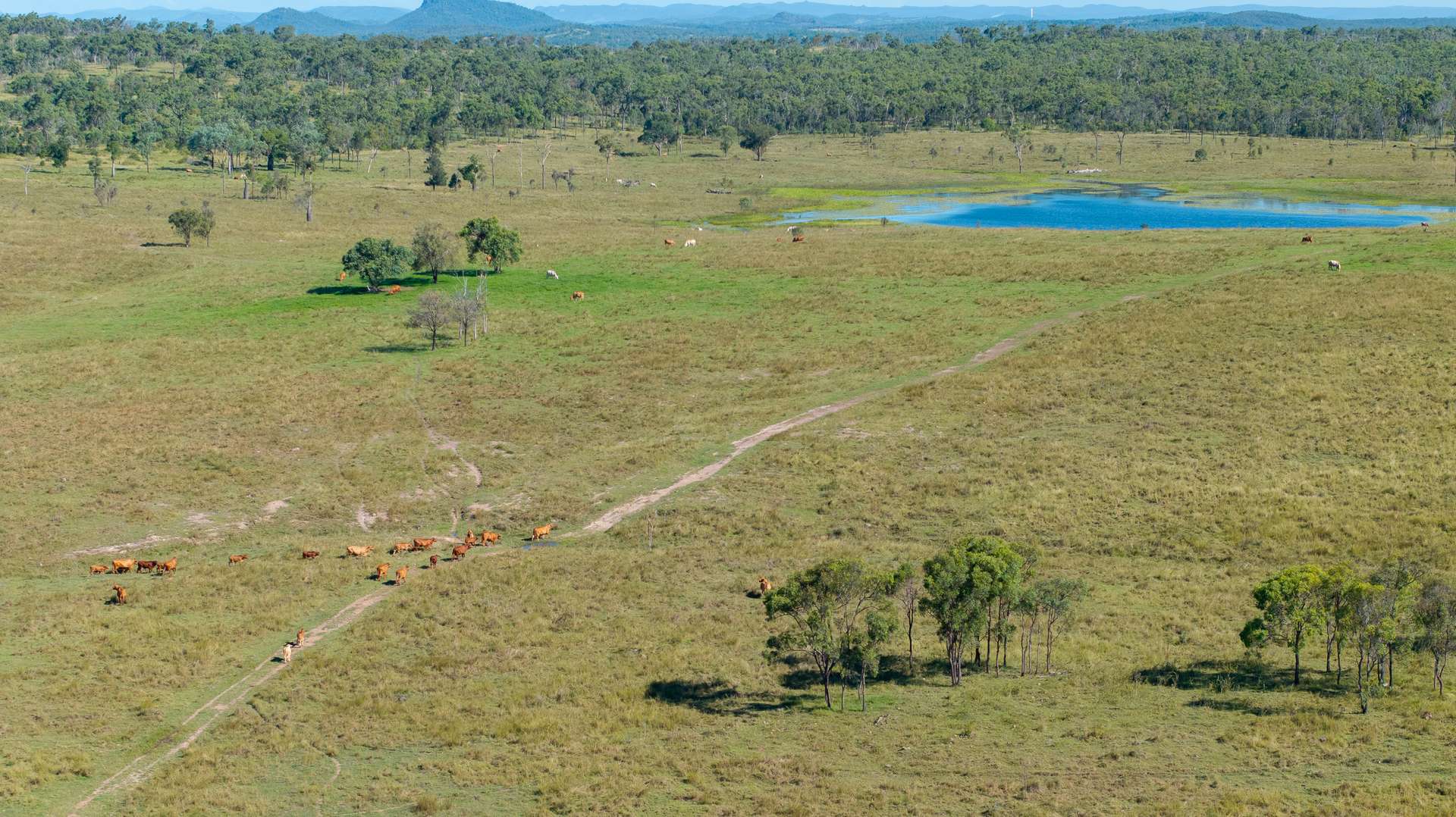 244 Weale Creek Road, Ridgelands For Sale by Farmbuy.com - image 19