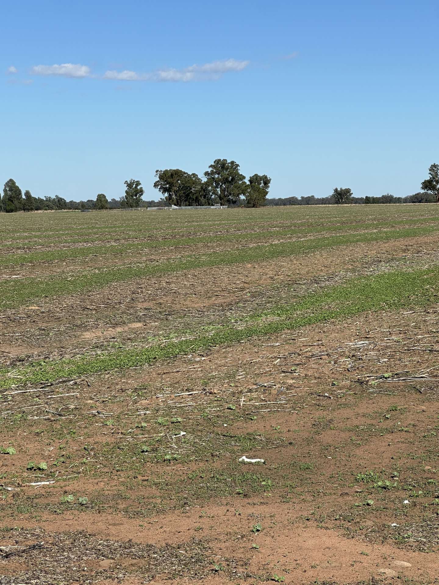 . Lilydale Road, Balldale Sold by Farmbuy.com - image 12