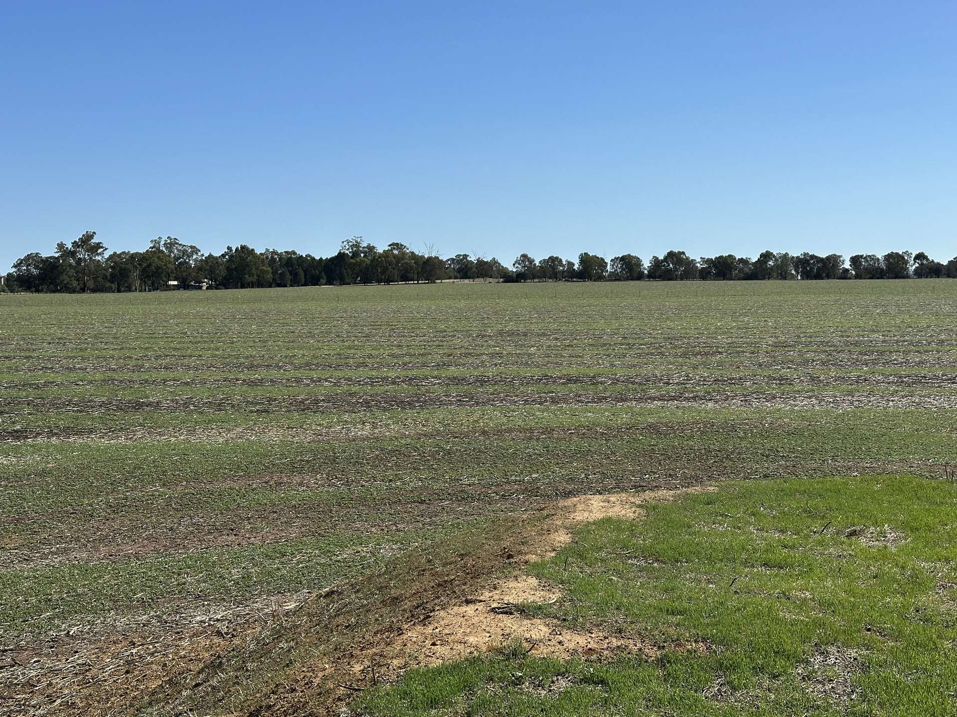 . Lilydale Road, Balldale Sold by Farmbuy.com - image 17