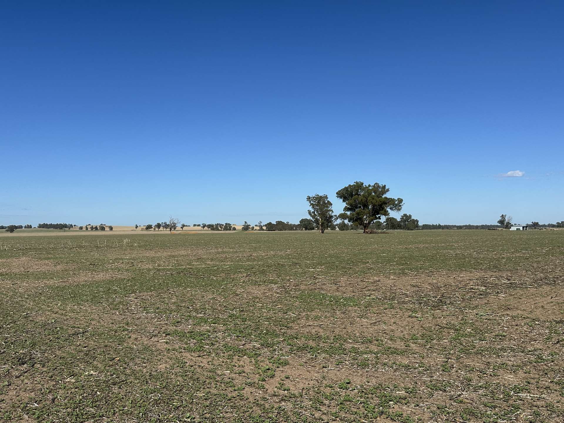 . Lilydale Road, Balldale Sold by Farmbuy.com - image 10