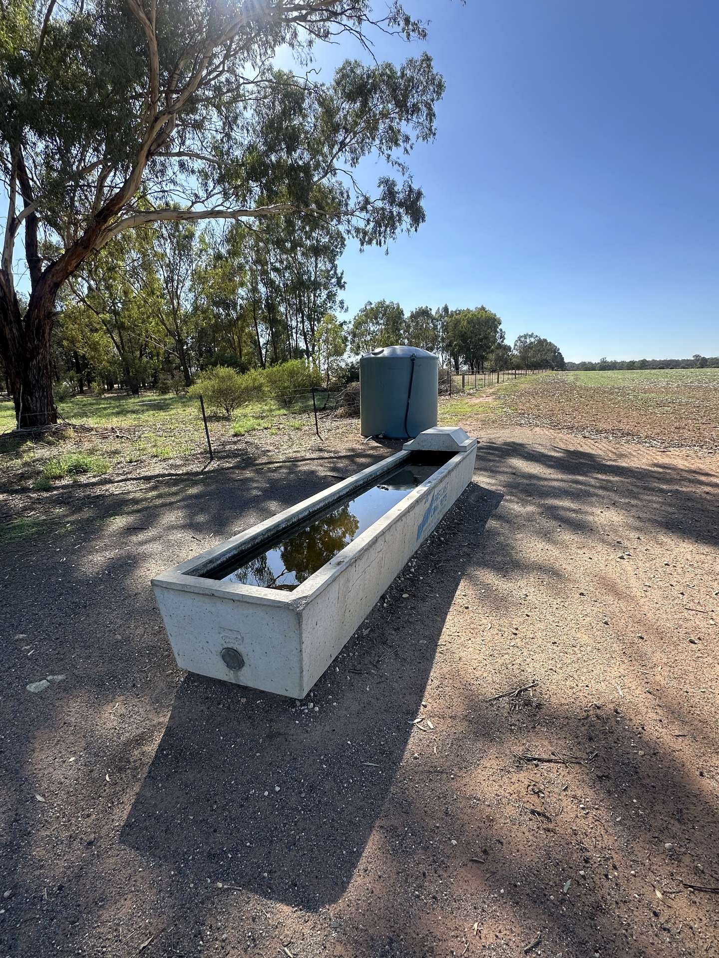 . Lilydale Road, Balldale Sold by Farmbuy.com - image 2