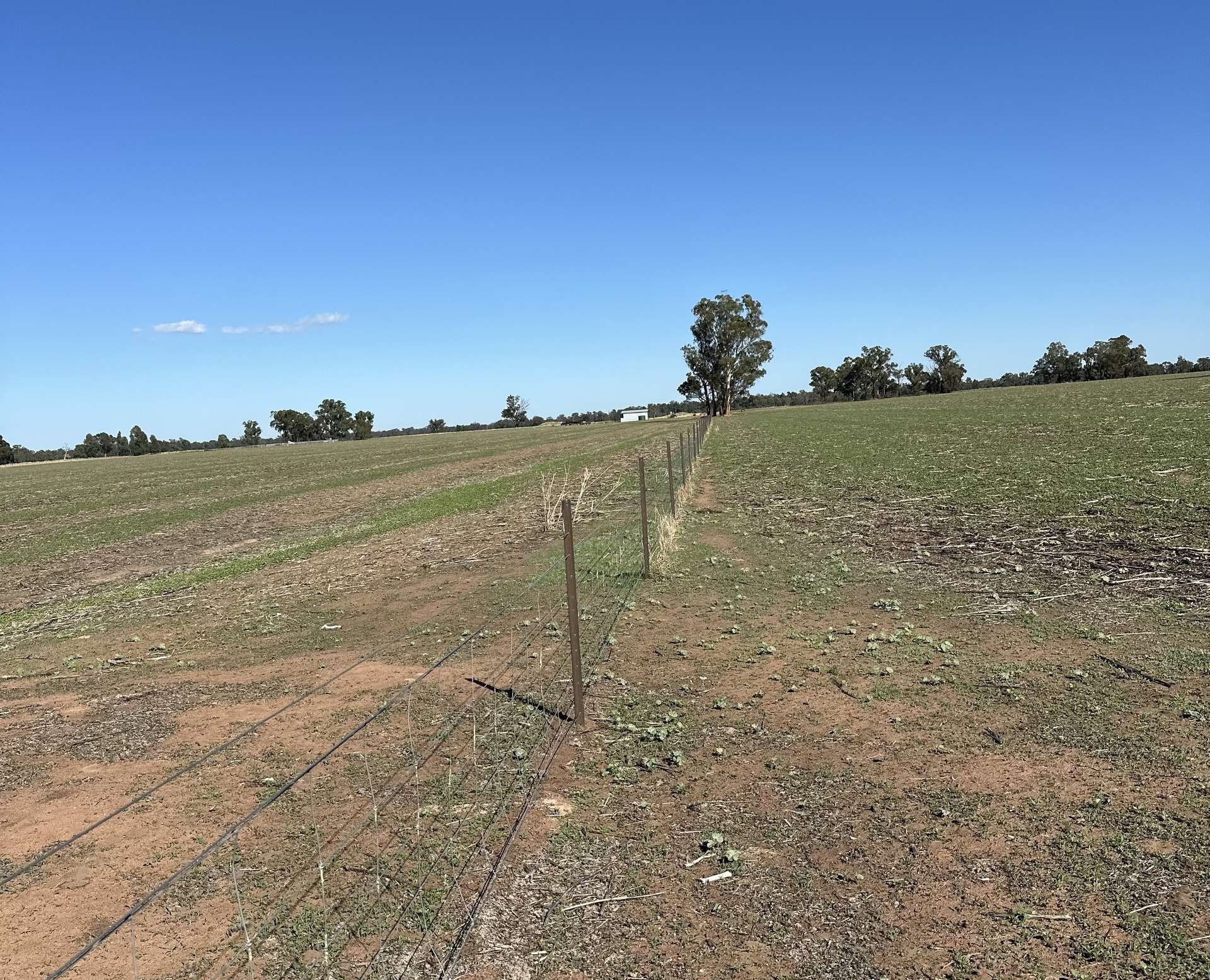 . Lilydale Road, Balldale Sold by Farmbuy.com - image 3