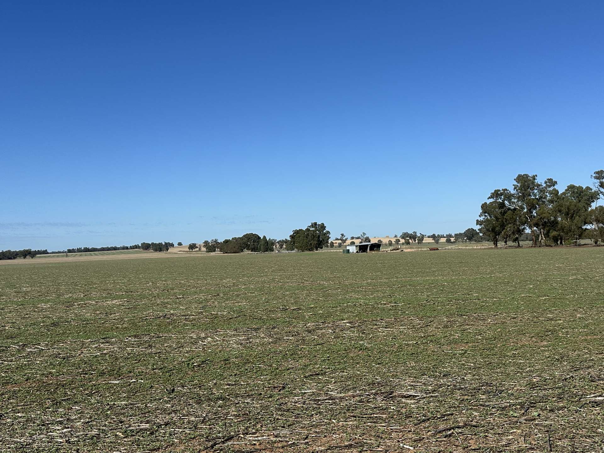 . Lilydale Road, Balldale Sold by Farmbuy.com - image 8
