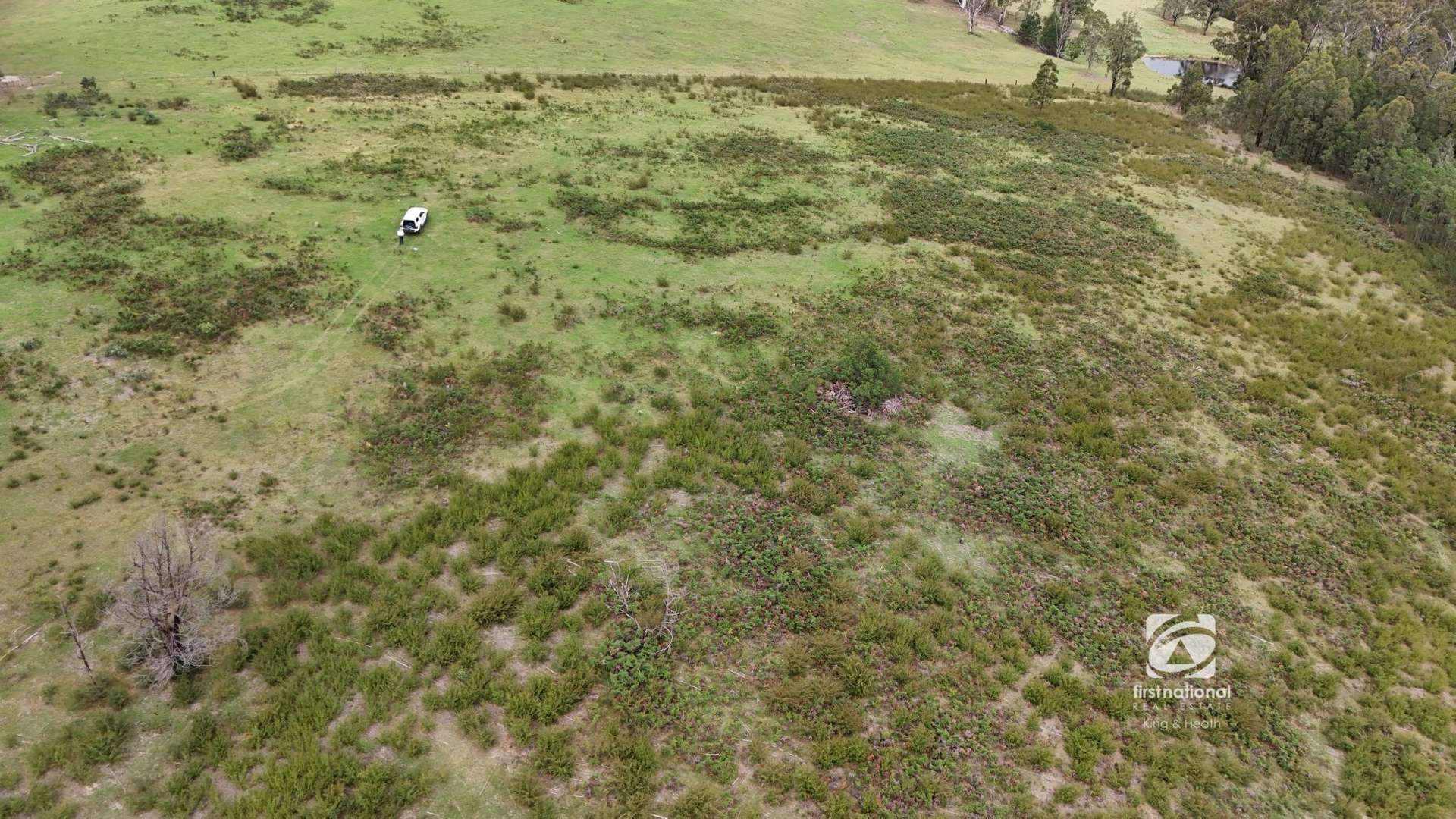 Lot 1/303 Basin Road, Buchan For Sale by Farmbuy.com - image 9