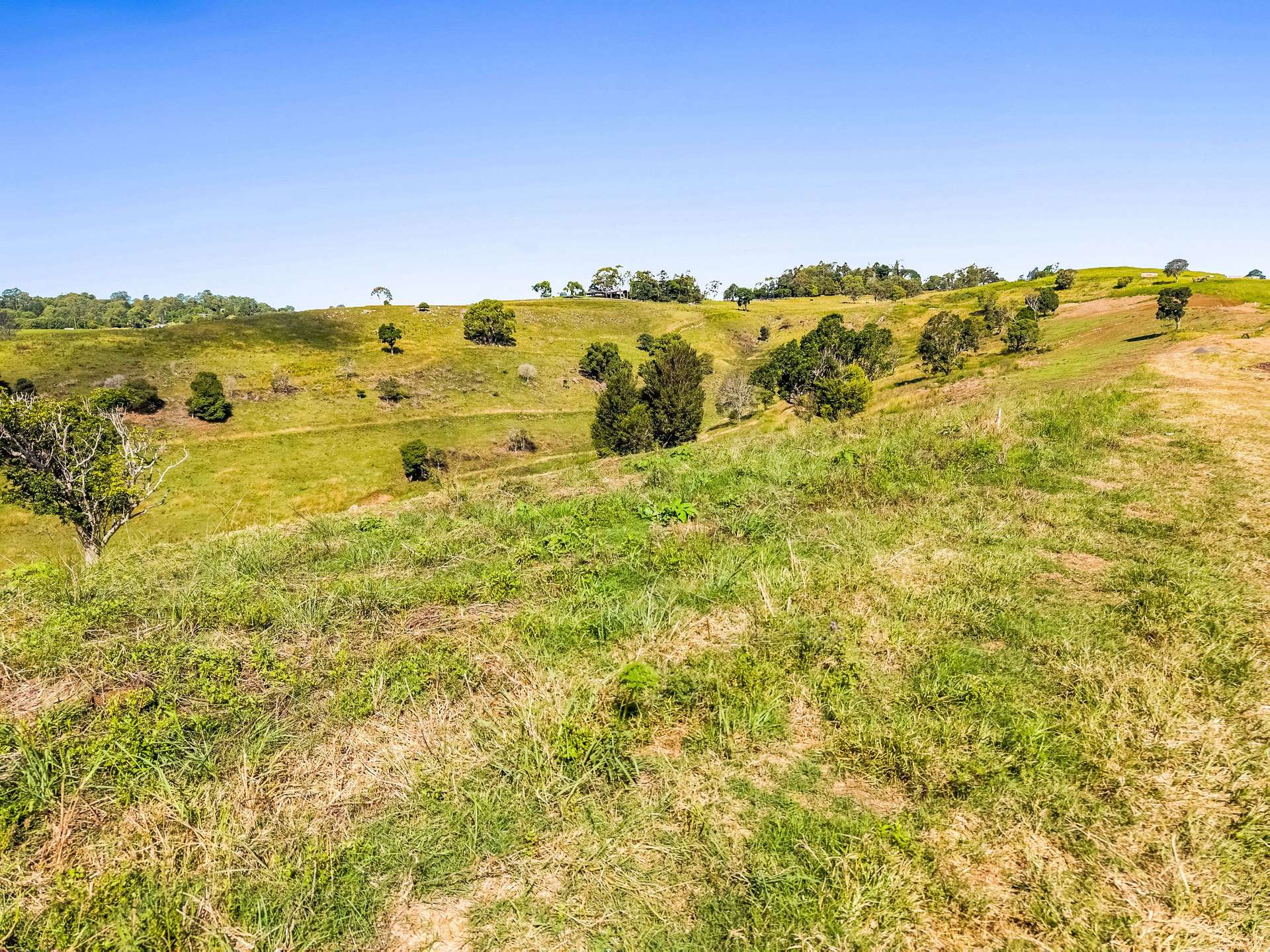 Goonellabah For Sale by Farmbuy.com - image 3