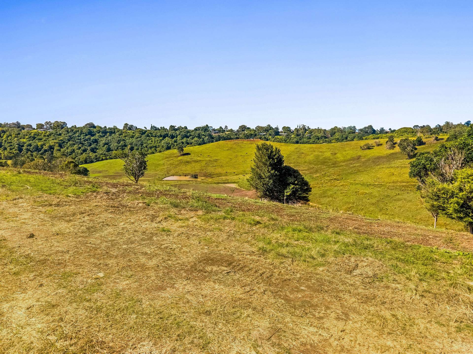 Goonellabah For Sale by Farmbuy.com - image 5