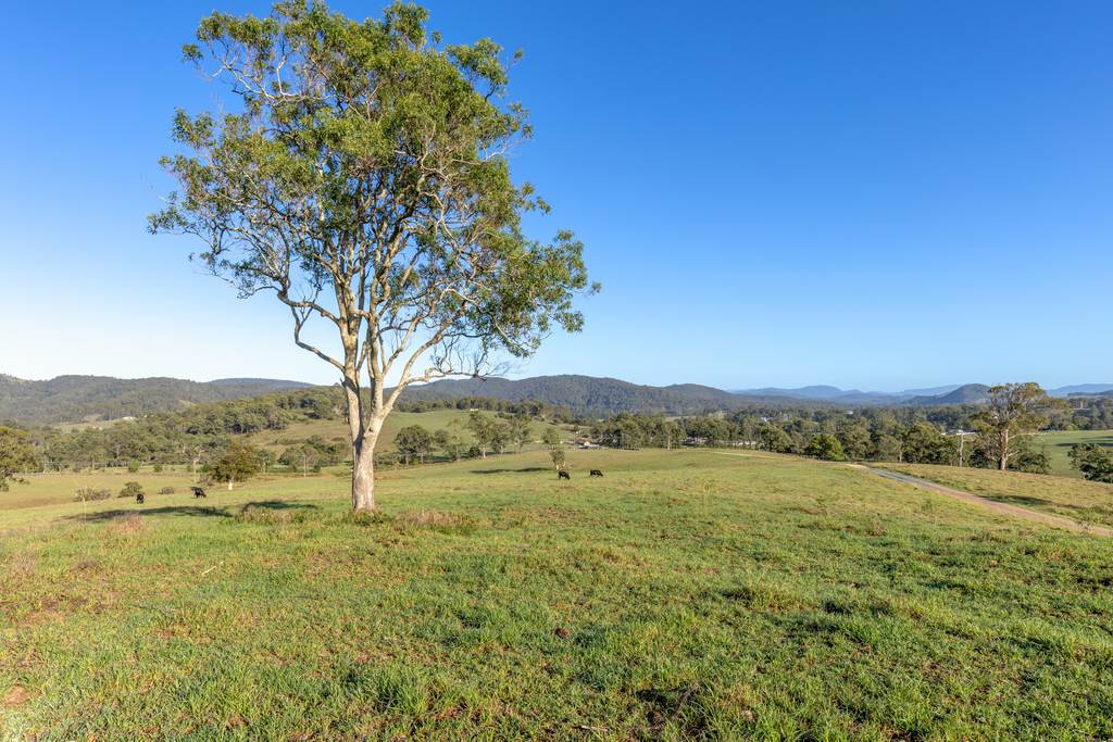 2898 The Bucketts Way, Stroud NSW 2425