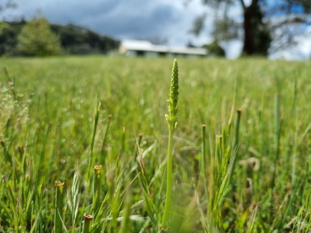 2745 Ulan Road, Mudgee For Sale by Farmbuy.com - image 16