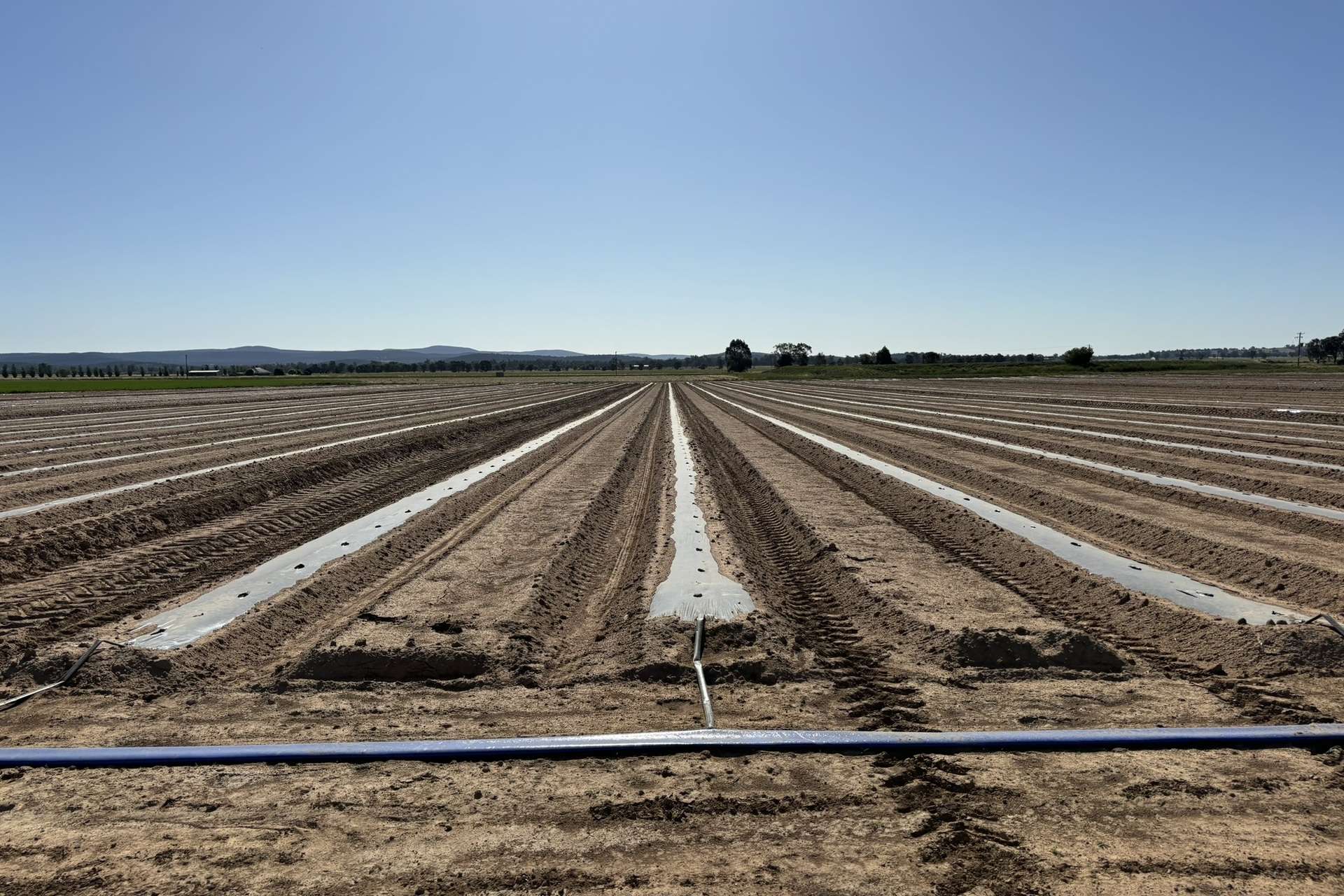North Logan Road, Cowra For Sale by Farmbuy.com - image 18