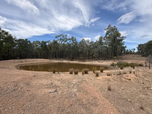 566 Waverley Lane, Silver Spur For Sale by Farmbuy.com - image 15