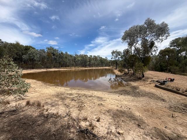 566 Waverley Lane, Silver Spur For Sale by Farmbuy.com - image 3