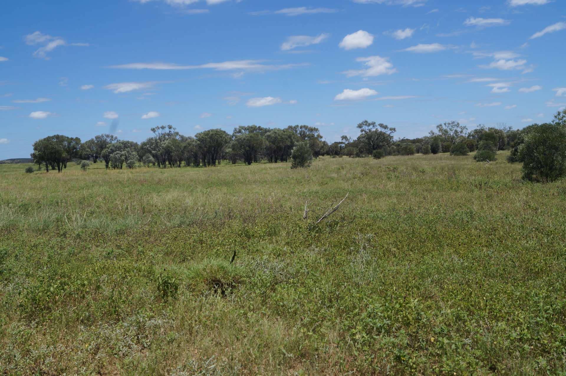 1 Baratria Road, Longreach For Sale by Farmbuy.com - image 16